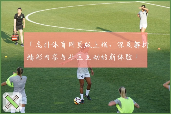 「虎扑体育网页版上线，深度解析精彩内容与社区互动的新体验」