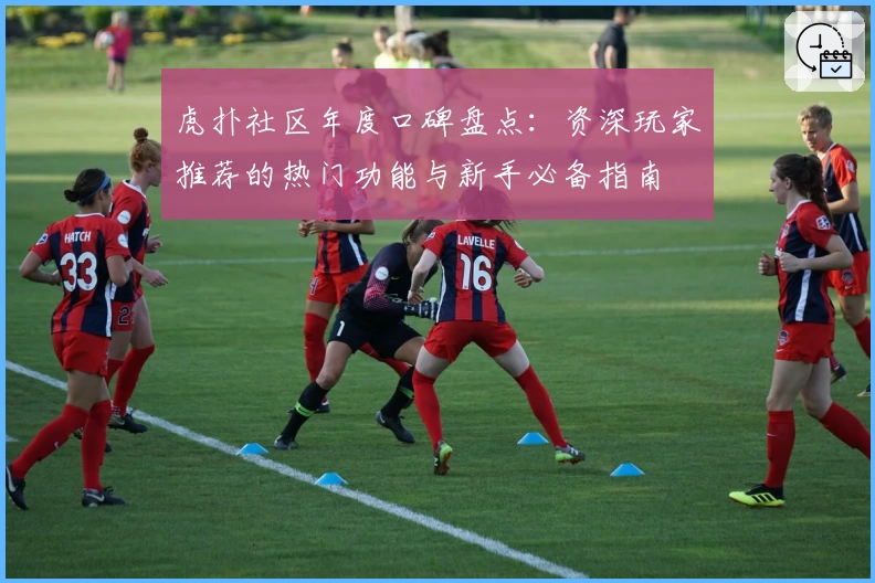 虎扑社区年度口碑盘点：资深玩家推荐的热门功能与新手必备指南