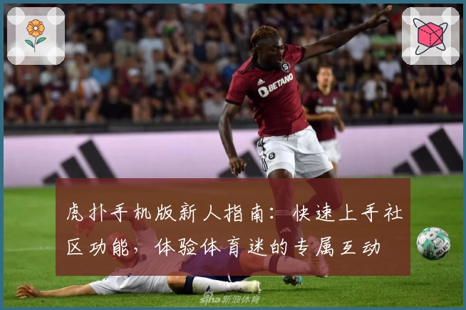 虎扑手机版新人指南：快速上手社区功能，体验体育迷的专属互动