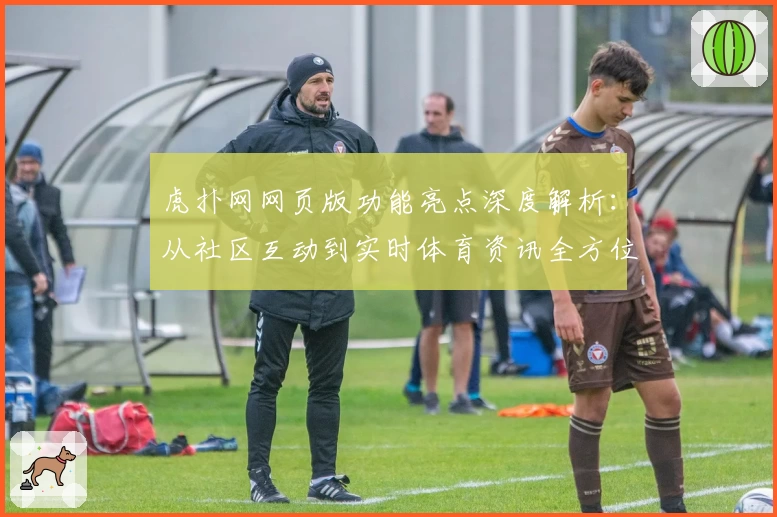 虎扑网网页版功能亮点深度解析：从社区互动到实时体育资讯全方位体验